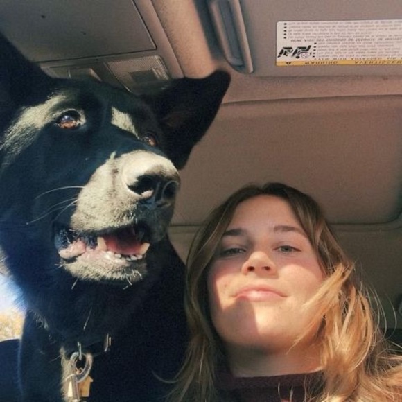 Meet your Posher, Sophie - Picture 1 of 1